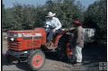 TRACTOR SAFETY BASICS - 15 Min.