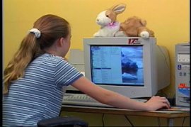 CRIMES AGAINST CHILDREN AND TEENS ON THE INTERNET ? SEXUAL PREDA