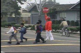 SCHOOL CROSSING GUARD AND TRAFFIC CONTROL - 9 Min.