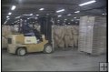 FORKLIFT 2000 "The New Rules" - SITE-SPECIFIC TRAINING MODULES -