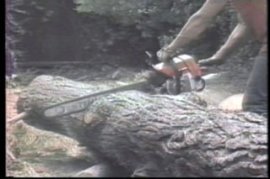 TREE TRIMMING SAFETY - 18 Min.