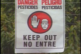 PESTICIDE TRAINING FOR AGRICULTURAL EMPLOYEES - 12 Min.