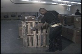 SAFE HANDLING OF WOOD PALLETS - 9 Min.