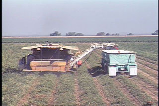 JOHNSON TOMATO HARVESTER - SAFETY BASICS - 8 Min. - Click Image to Close